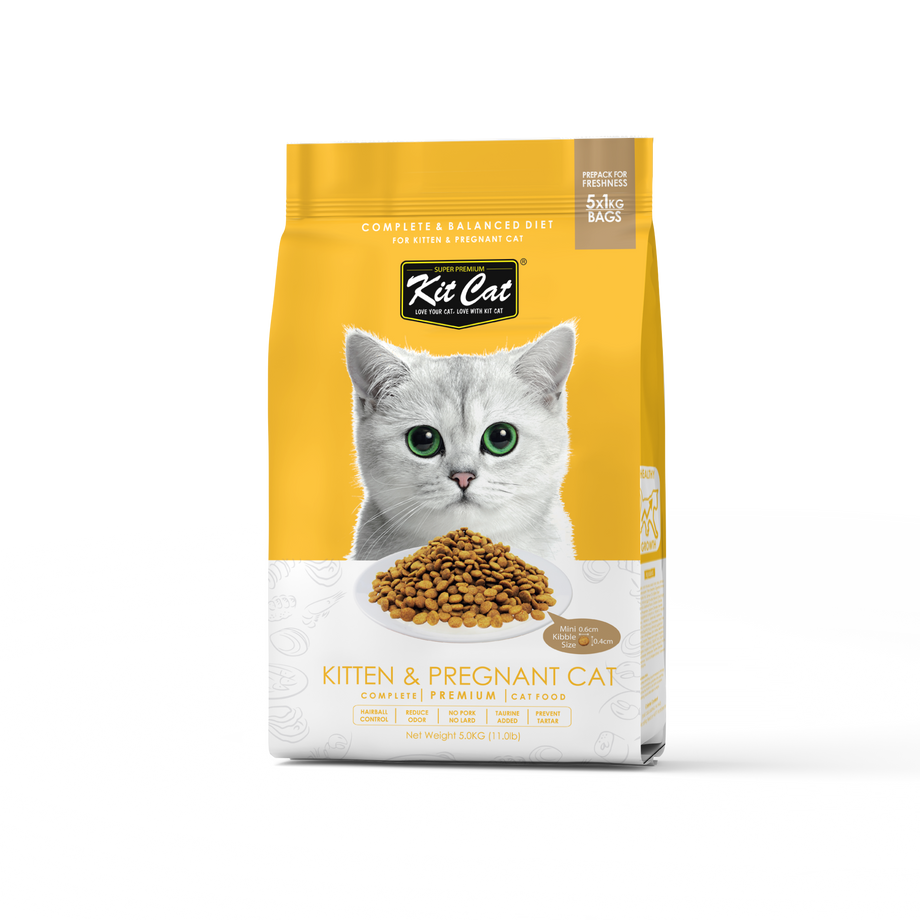 Kit Cat Premium Dry Cat Food Kitten Pregnant 5kg B2K Pet