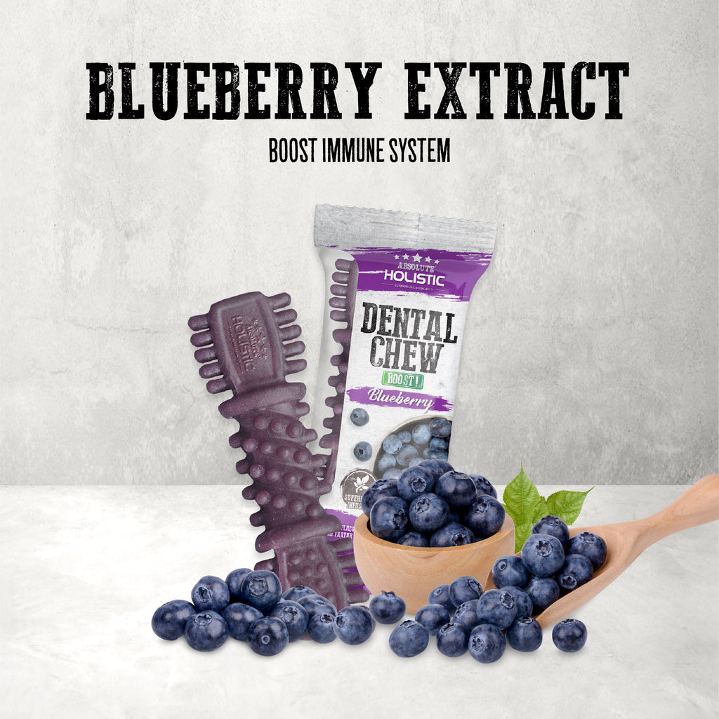 Absolute Holistic BOOST Dental Chew for Dogs - Blueberry (4") | Infused with Superfood