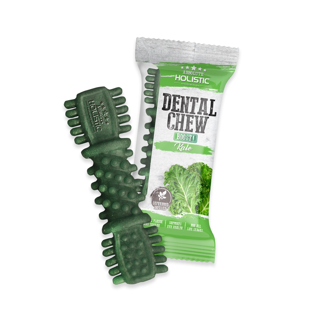 Absolute Holistic BOOST Dental Chew for Dogs - Kale (4") | Infused with Superfood
