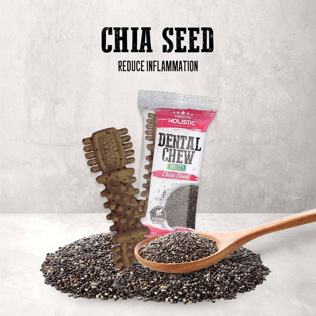 Absolute Holistic BOOST Dental Chew for Dogs - Chia Seed (4") | Infused with Superfood