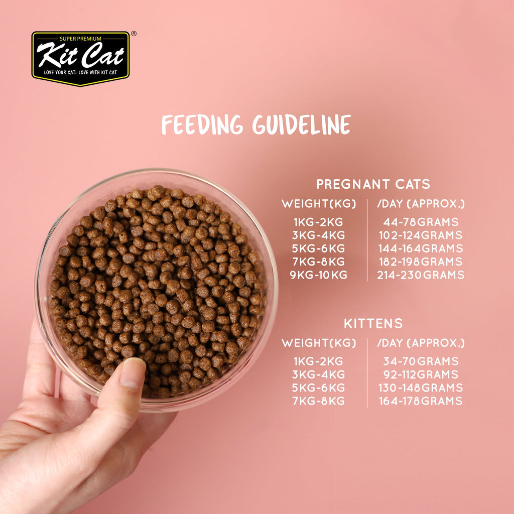 Kit Cat No Grain Dry Cat Food - Tuna & Salmon (Sample)