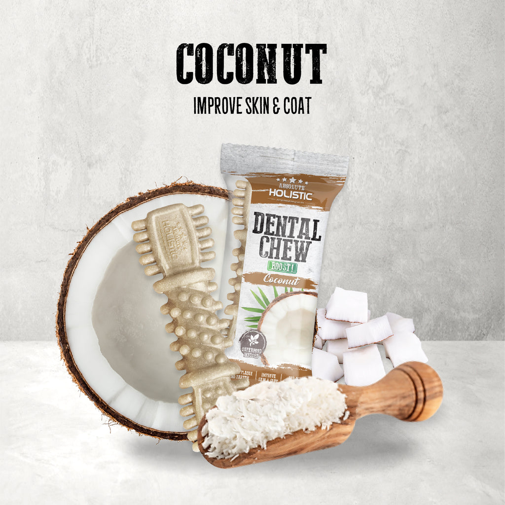 Absolute Holistic BOOST Dental Chew for Dogs - Coconut (4") | Infused with Superfood